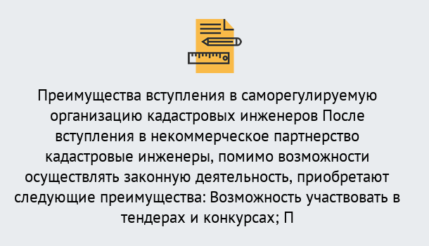 Почему нужно обратиться к нам? Коркино Что дает допуск СРО кадастровых инженеров?