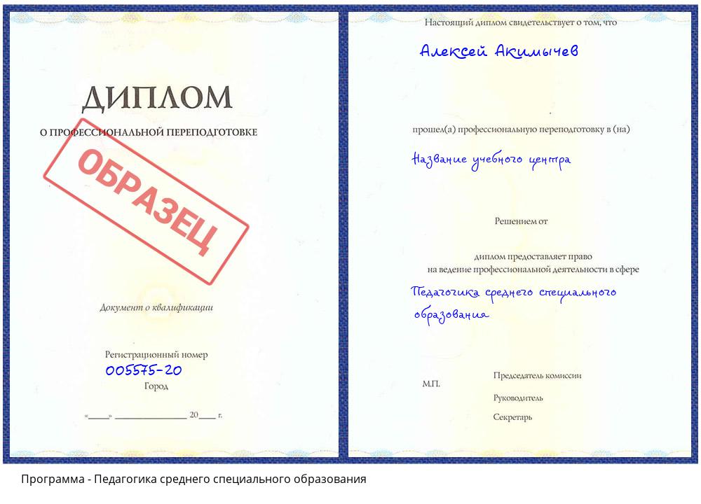 Педагогика среднего специального образования Коркино