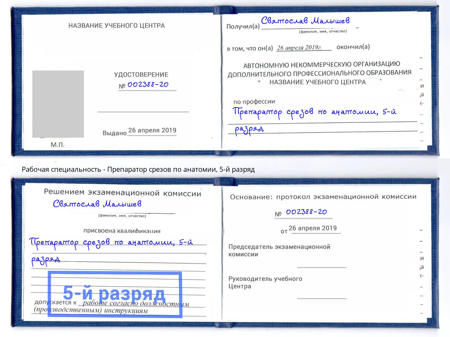 корочка 5-й разряд Препаратор срезов по анатомии Коркино